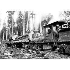  Logging Train   12x18 Framed Print in Black Frame (17x23 