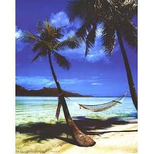  Professionally Framed Tropical Beach Hammock, Palm Trees 