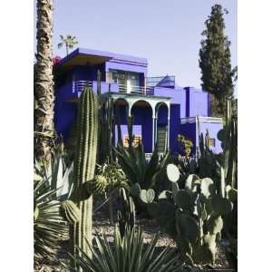  Villa Exterior, Jardin Majorelle and Museum of Islamic Art 